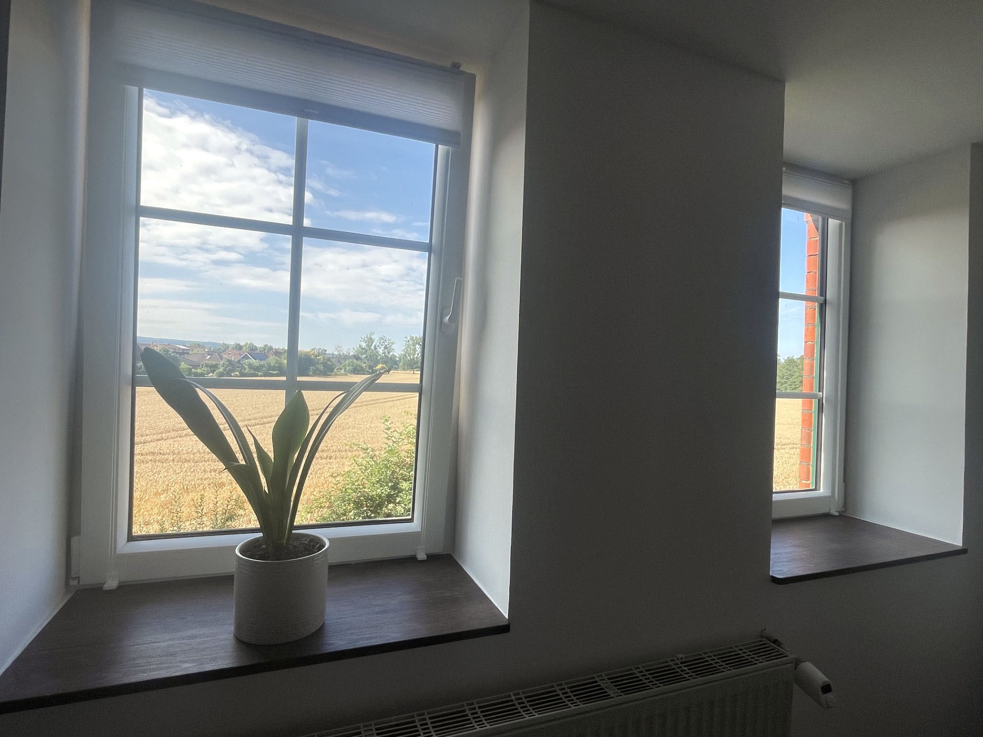 Abendsonne – Ausblick