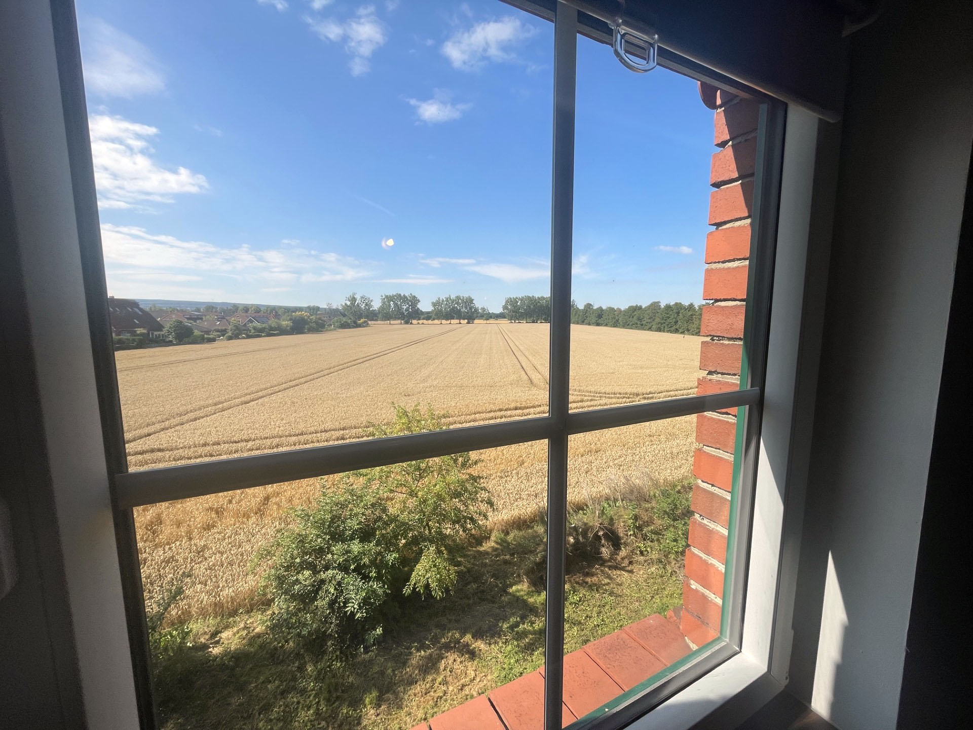 Feldrand – Ausblick